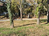 Imagine atasata: IMG_20211030_160147.jpg